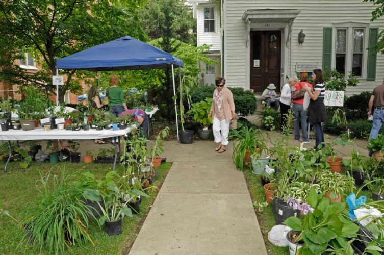 Plant and bake sale